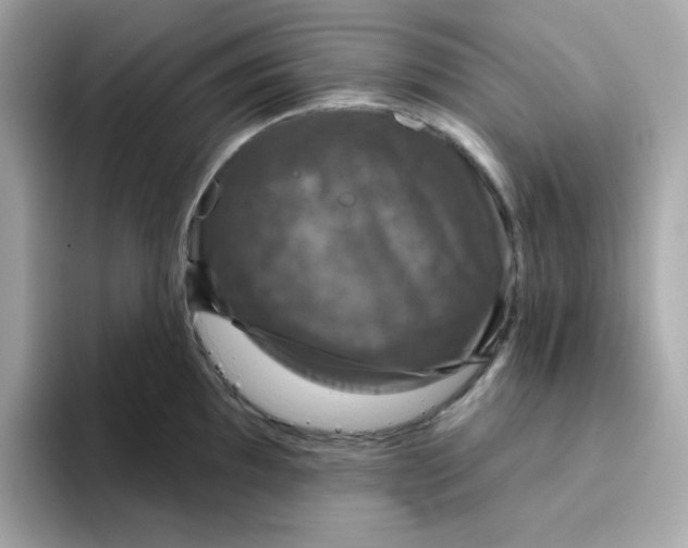 X0000094791097200711301601