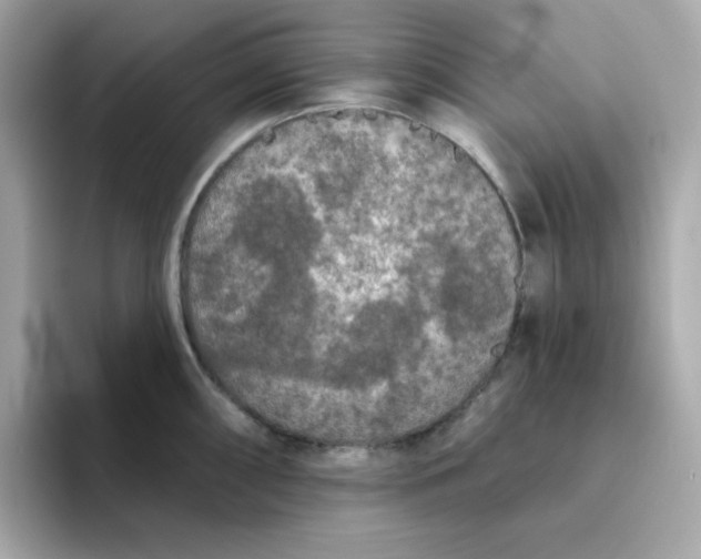 X0000094791098200711301601