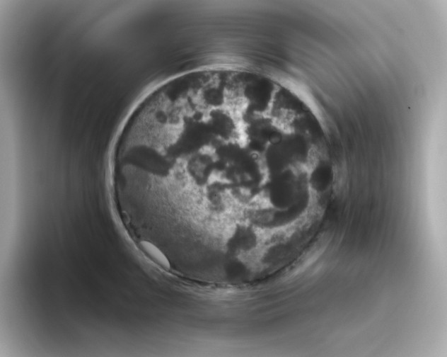 X0000094791099200711301601