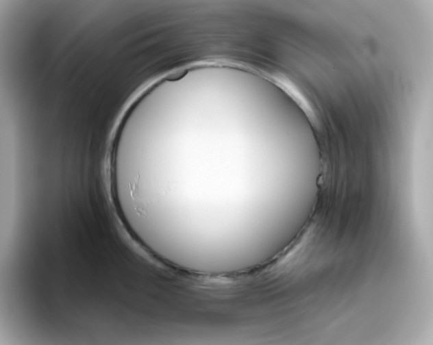 X0000094791100200711301601