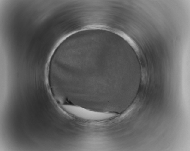 X0000094791102200711301601