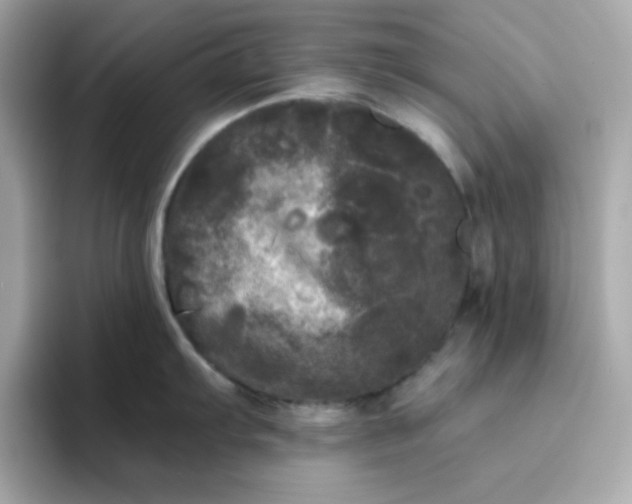 X0000094791103200711301601