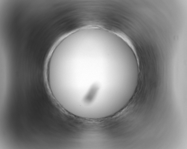 X0000094791104200711301601