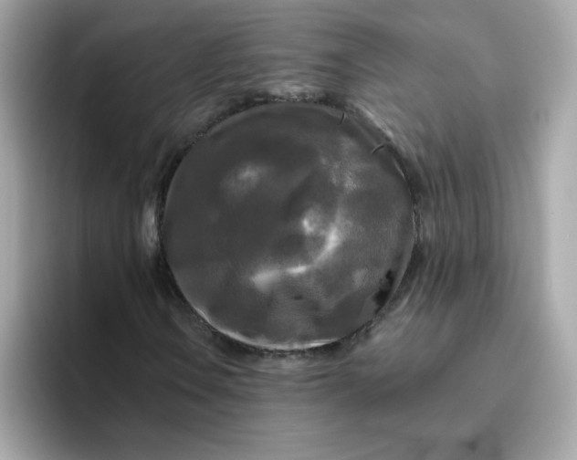 X0000094791106200711301600