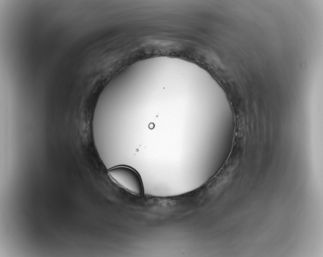 X0000094791109200711301600