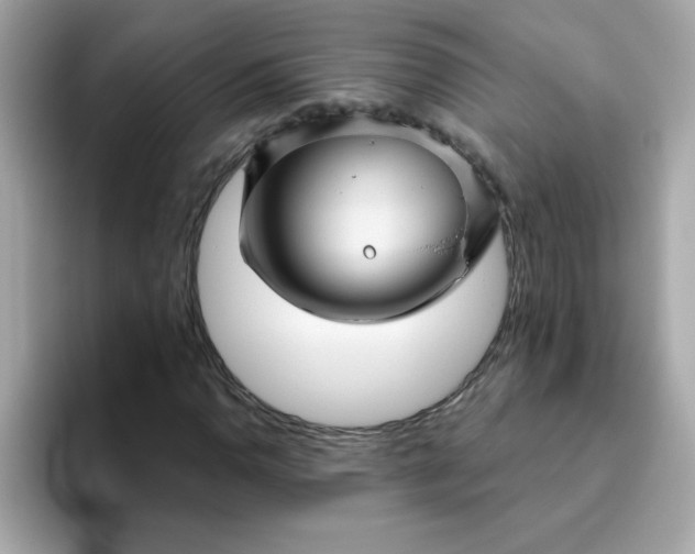 X0000094791110200711301600