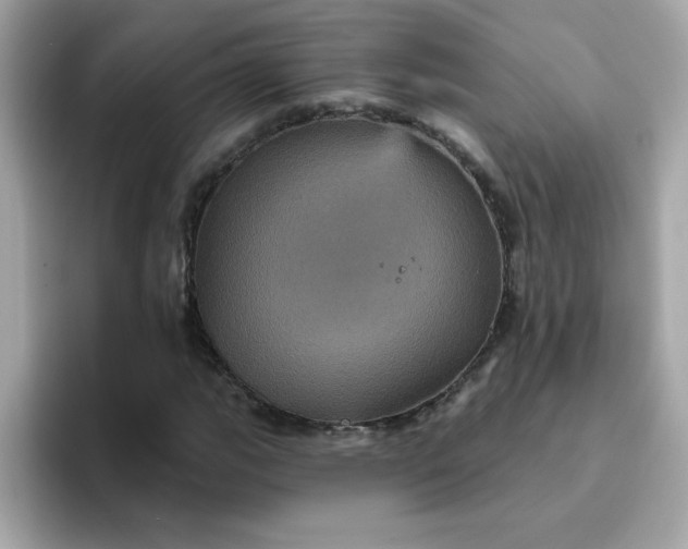 X0000094791111200711301600