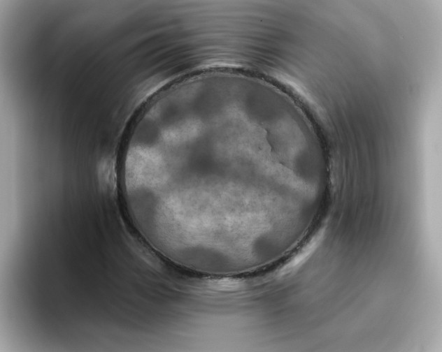 X0000094791113200711301601