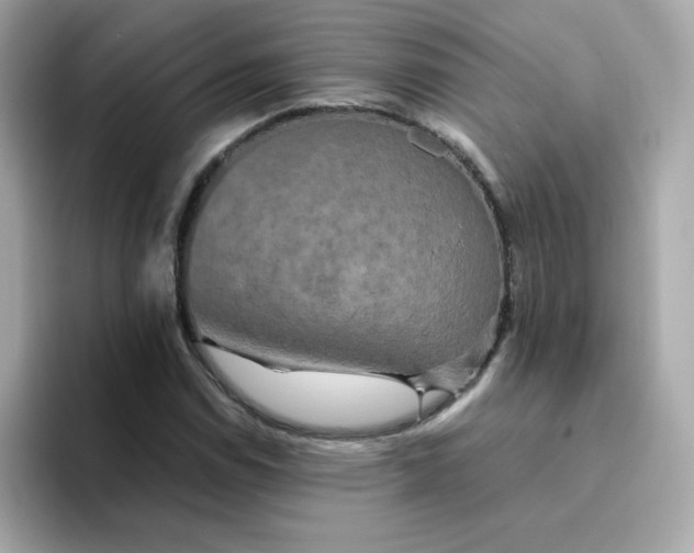 X0000094791114200711301601