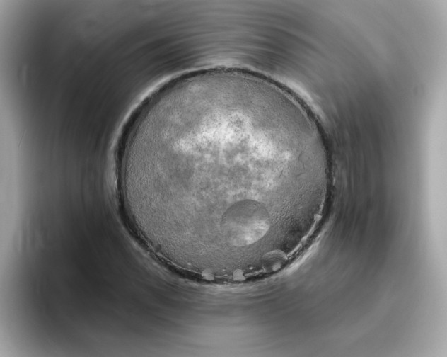 X0000094791118200711301601