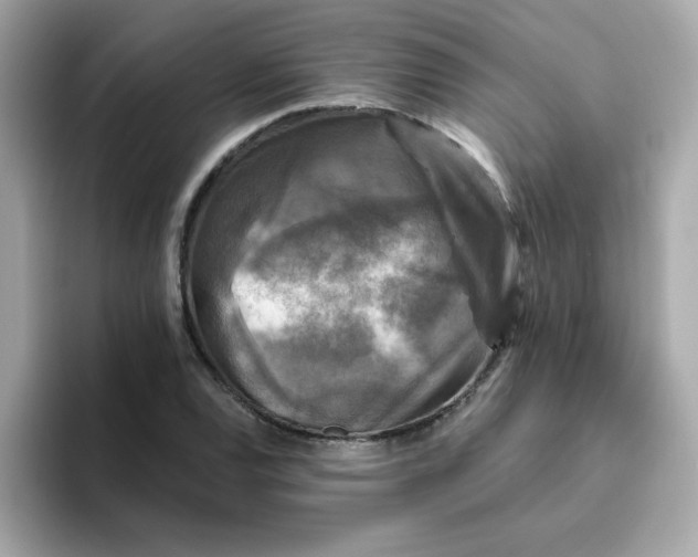 X0000094791120200711301601