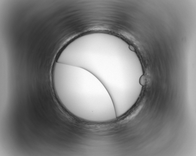 X0000094791121200711301601