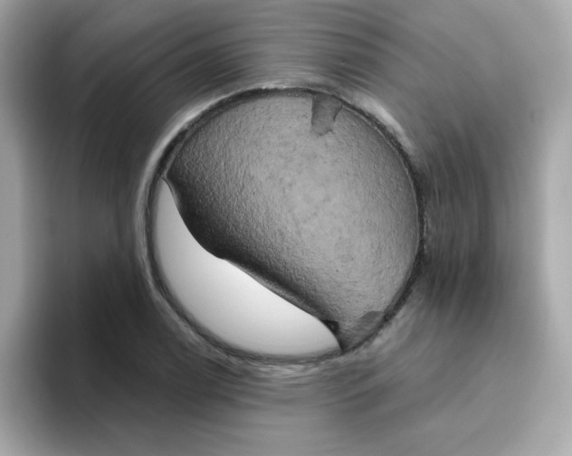 X0000094791122200711301601