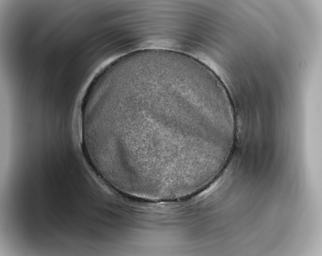 X0000094791123200711301601