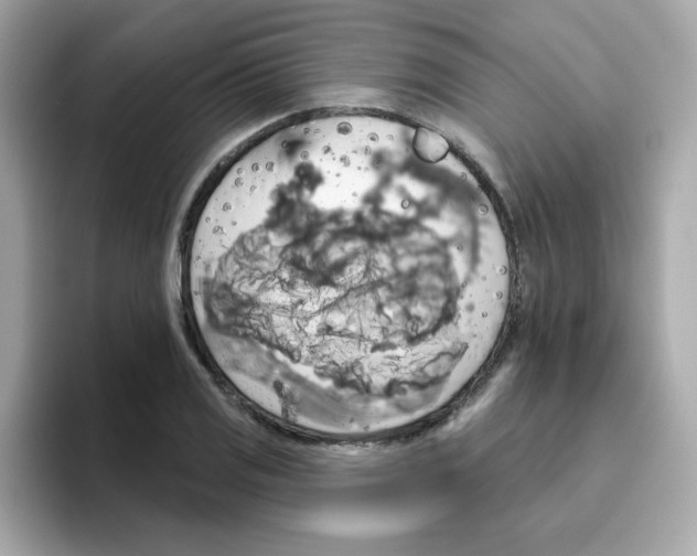 X0000094791125200711301601