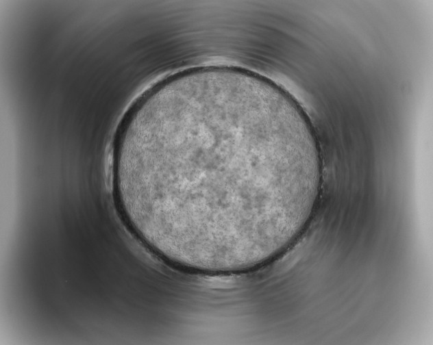 X0000094791126200711301601