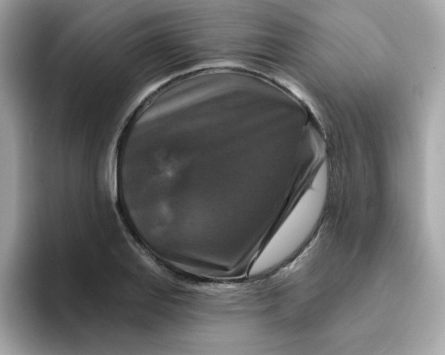 X0000094791127200711301601