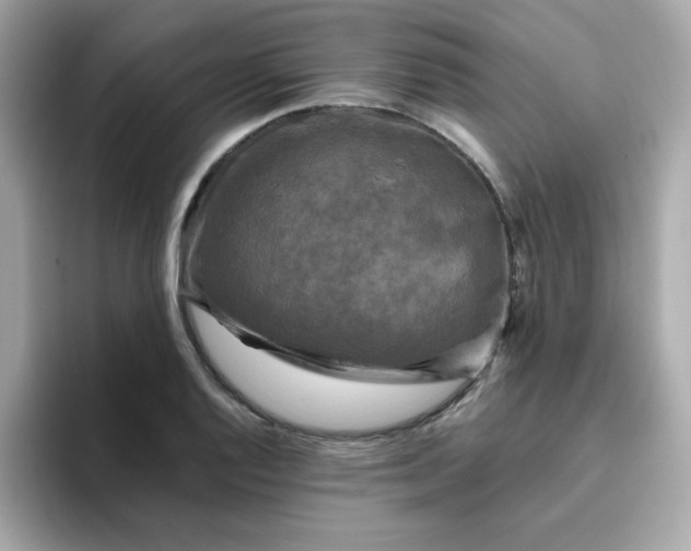 X0000094791128200711301601