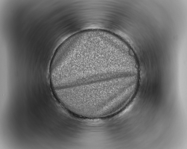 X0000094791129200711301601