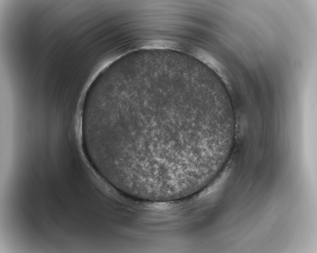 X0000094791130200711301601