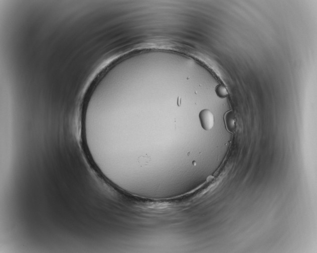 X0000094791131200711301601