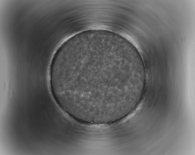 X0000094791133200711301601