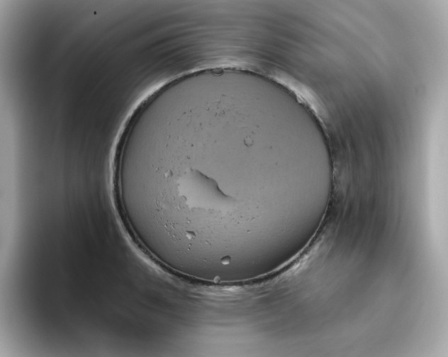 X0000094791135200711301601