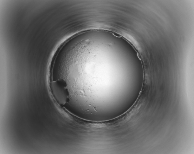 X0000094791136200711301601