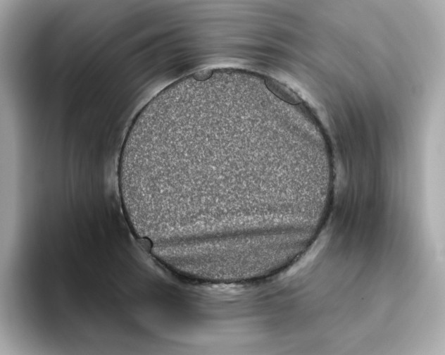 X0000094791137200711301601