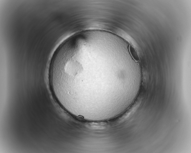 X0000094791138200711301601