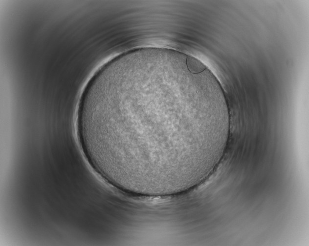 X0000094791139200711301601