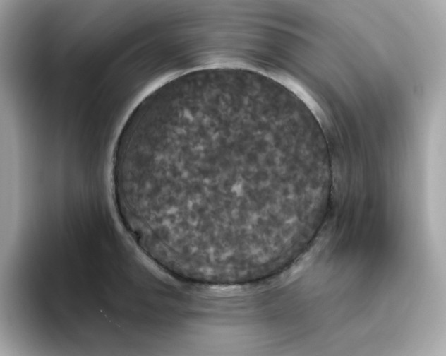 X0000094791142200711301601