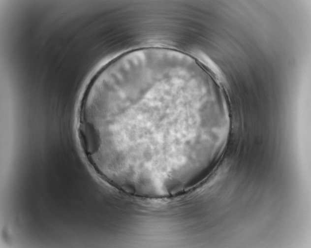 X0000094791144200711301601