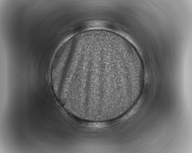 X0000094791145200711301601