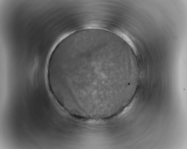 X0000094791146200711301601