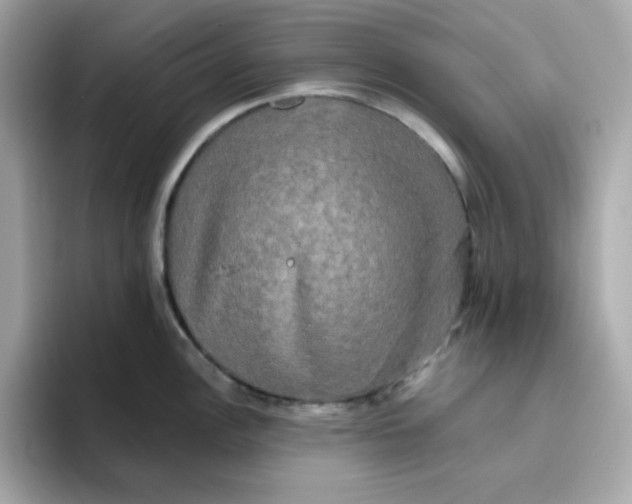 X0000094791148200711301601