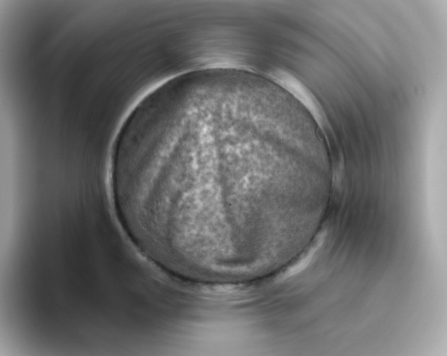 X0000094791149200711301601