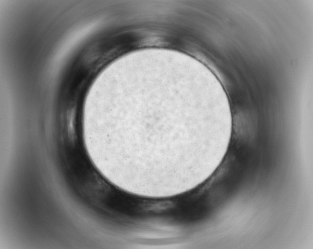 X0000094791150200711301601