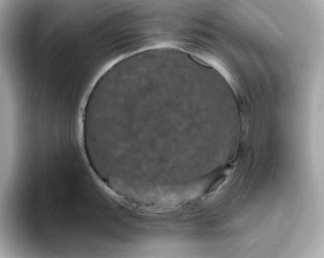 X0000094791151200711301601