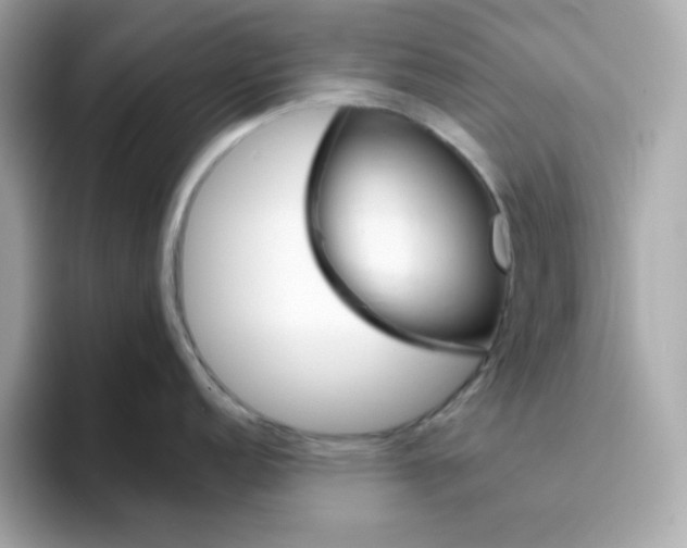 X0000094791152200711301601