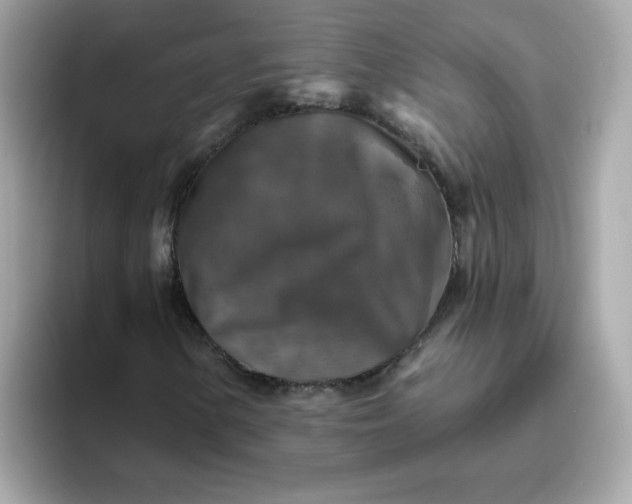 X0000094791154200711301600