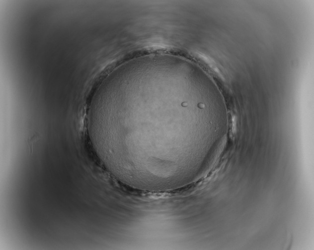 X0000094791157200711301600