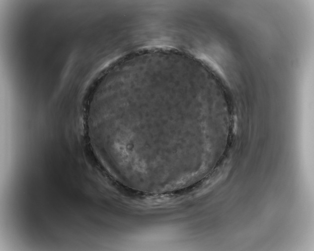 X0000094791159200711301600