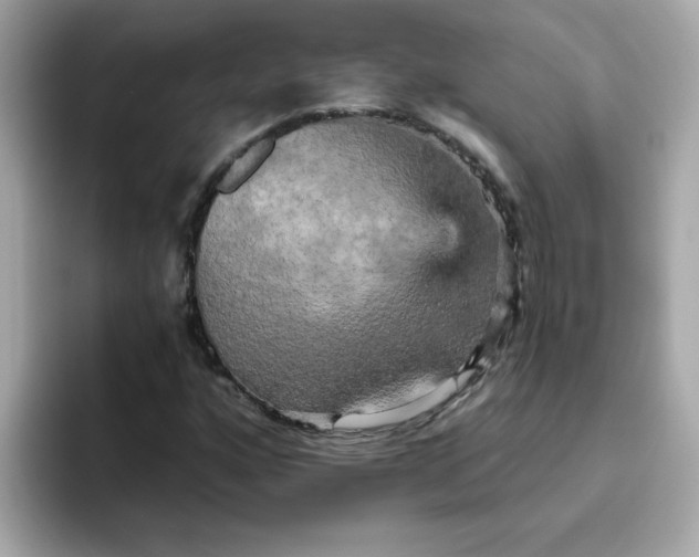 X0000094791160200711301600