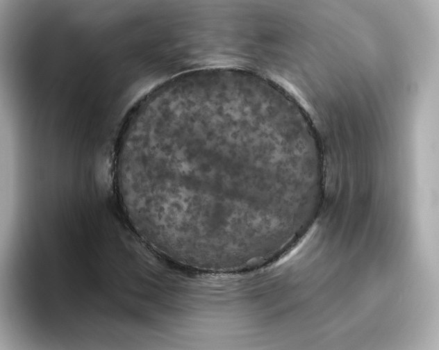 X0000094791163200711301600