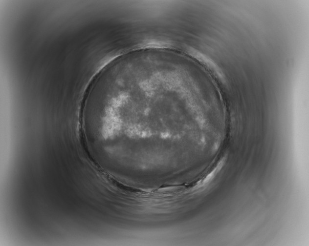 X0000094791170200711301600