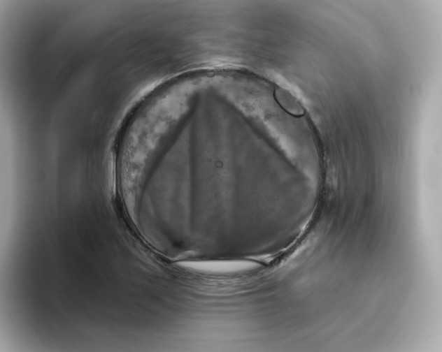 X0000094791171200711301600