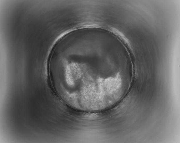 X0000094791174200711301600