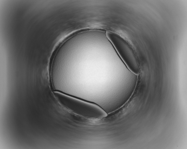 X0000094791176200711301600