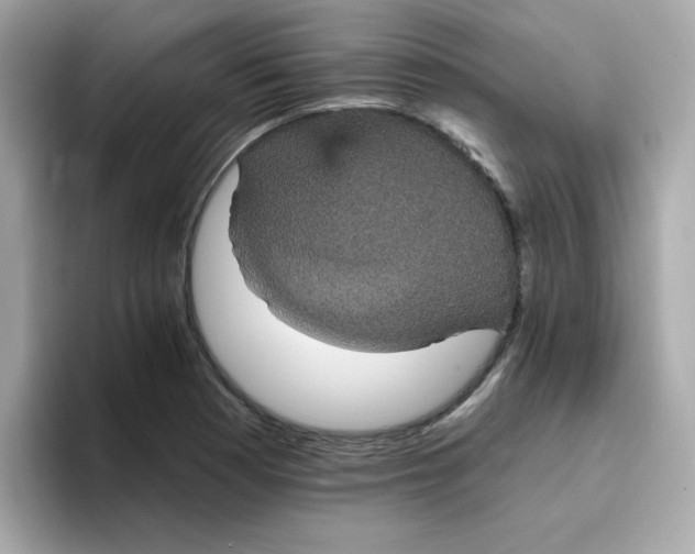 X0000094791177200711301600